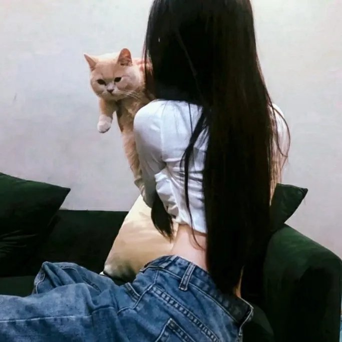 盛装