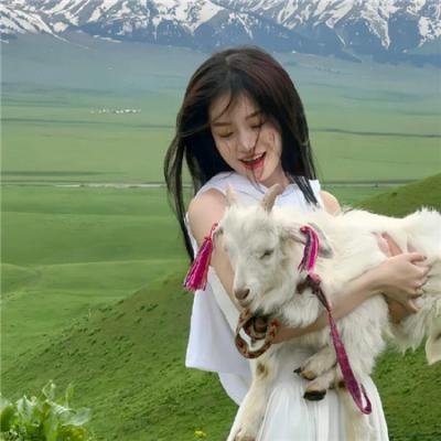 狗咬狗