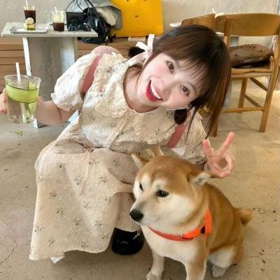 老鼠开会